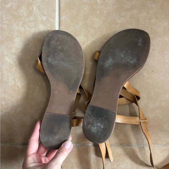 Tory Burch Brown Gladiator Sandals with Gold Buckle - Picture 6 of 9